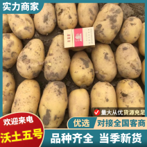 【实力商家】精品土豆沃土五号土豆产地直发代发全国欢迎