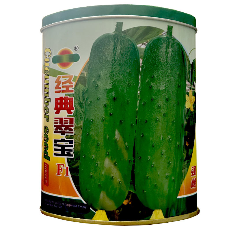 经典翠宝黄瓜种子旱黄瓜籽早熟肉质脆嫩节节有瓜基地型
