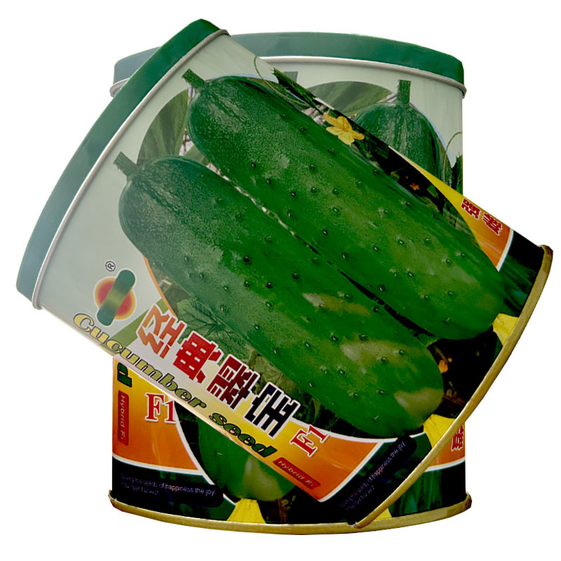 经典翠宝黄瓜种子旱黄瓜籽早熟肉质脆嫩节节有瓜基地型