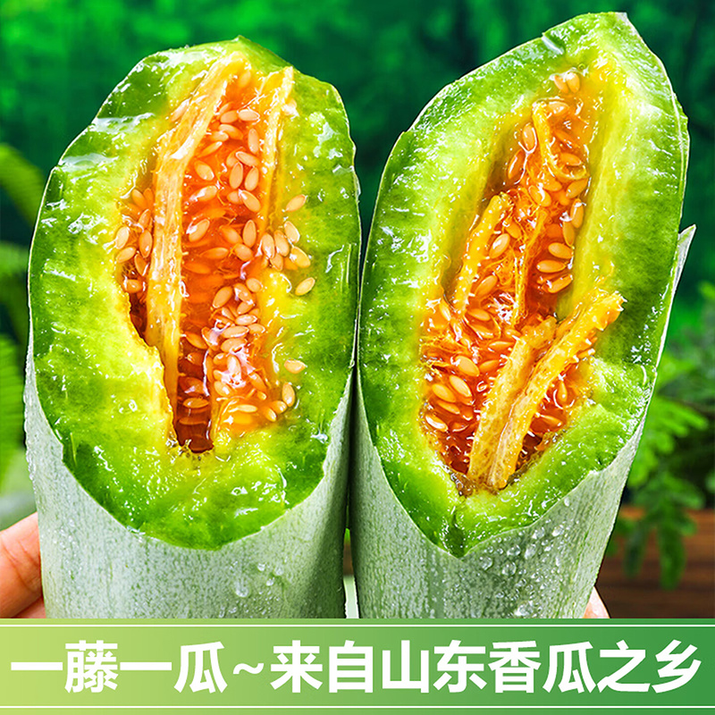 山东羊角蜜甜瓜蜜瓜应季新鲜水果源头直发
