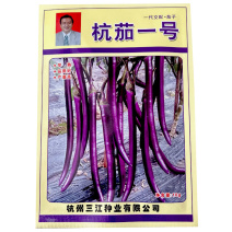 杭茄子一号茄子种子早熟高产耐寒红茄春秋蔬菜基地