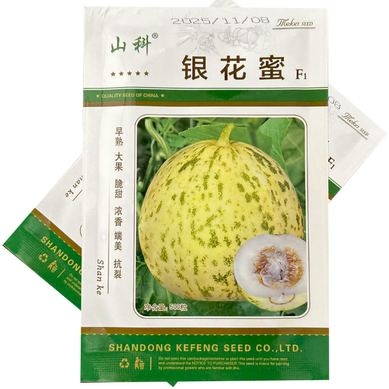 银花蜜甜瓜种子金钱豹早熟薄皮大果花皮大田基地种