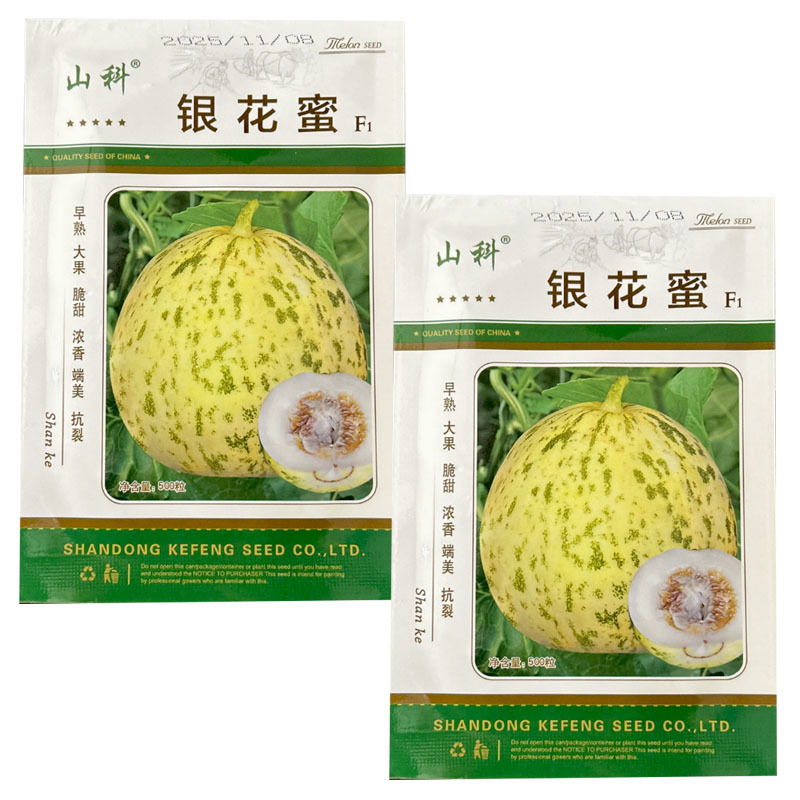 银花蜜甜瓜种子金钱豹早熟薄皮大果花皮大田基地种