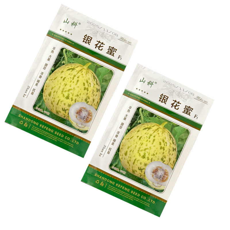 银花蜜甜瓜种子金钱豹早熟薄皮大果花皮大田基地种