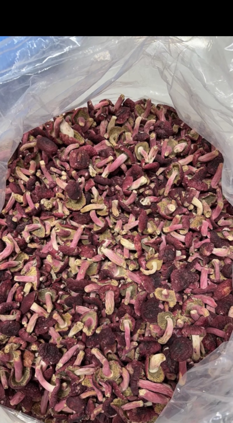 【推荐】精品红菇食用菌各种规格齐全欢迎来电