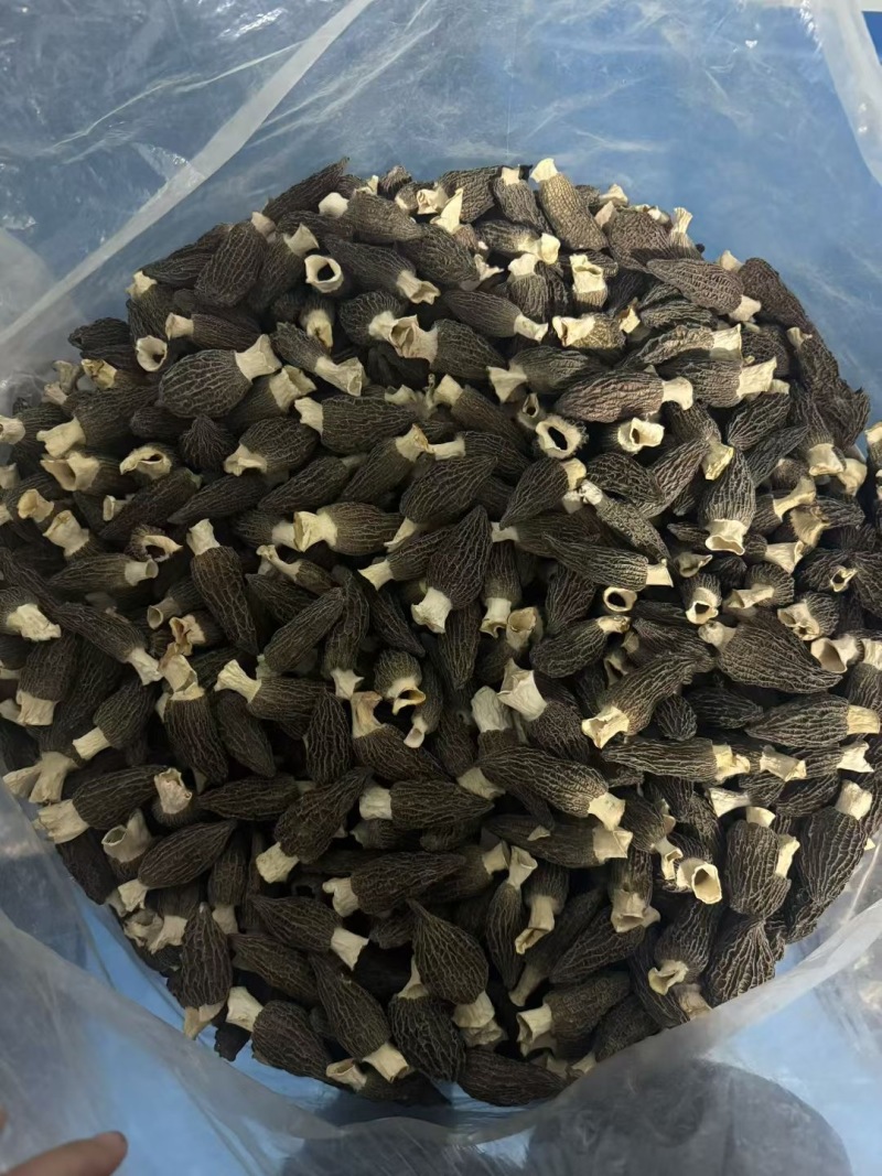 【推荐】精品羊肚菌食用菌产地直发各种规格都有