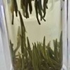 梅泽云的一亩田店铺