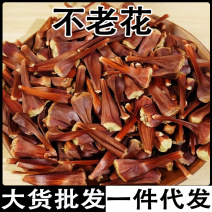 不老花雪域不老花不老花茶批发代发