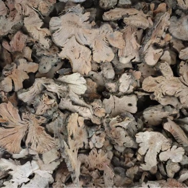 金荞麦荞麦根金锁银开中药材金荞麦代打粉各种冷背