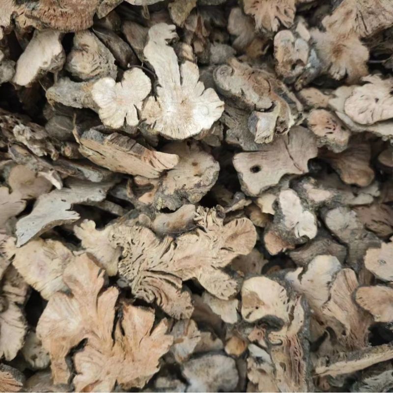 金荞麦荞麦根金锁银开中药材金荞麦代打粉各种冷背