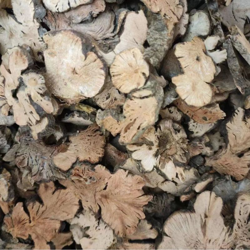 金荞麦荞麦根金锁银开中药材金荞麦代打粉各种冷背