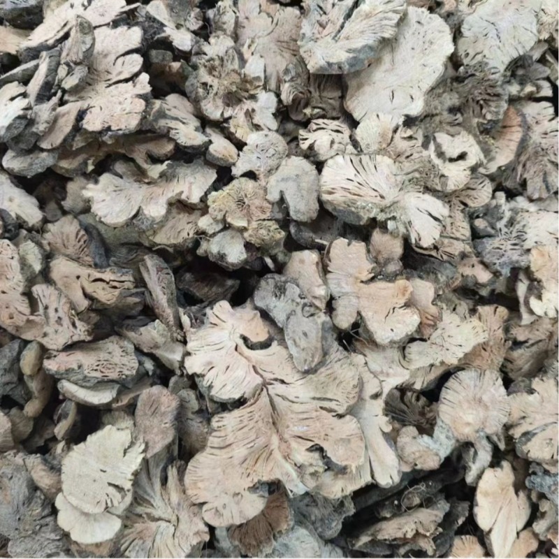 金荞麦荞麦根金锁银开中药材金荞麦代打粉各种冷背