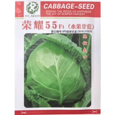 水果甘蓝种子脆甜生食凉拌甜心甘蓝种子高产基地荣耀55