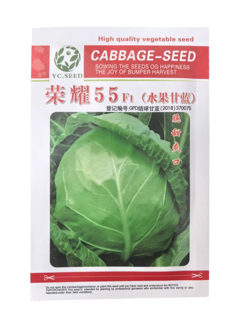 水果甘蓝种子脆甜生食凉拌甜心甘蓝种子高产基地荣耀55