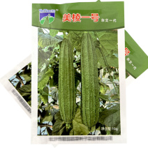 美棱一号棱丝瓜种子早熟绿皮带花八角瓜肉丝瓜种子