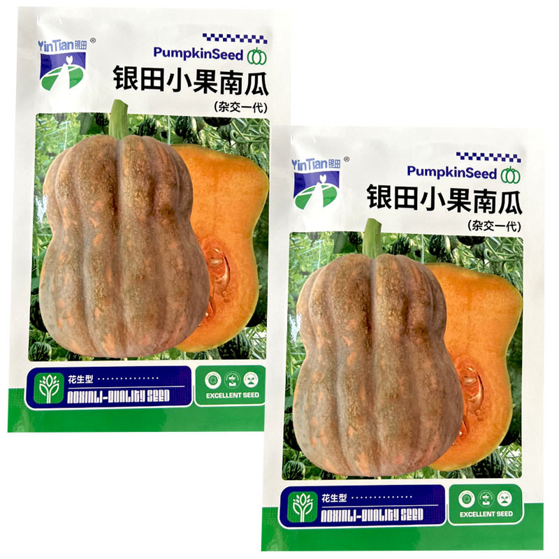花生小南瓜种子银田小果南瓜早熟口感粉甜基地型