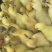 百子鹅苗蛋鹅苗厂家直销优质种鹅苗成活率高运输死亡包赔