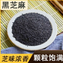黑芝麻生熟都有颗粒饱满香浓味美厂家直销量大从优