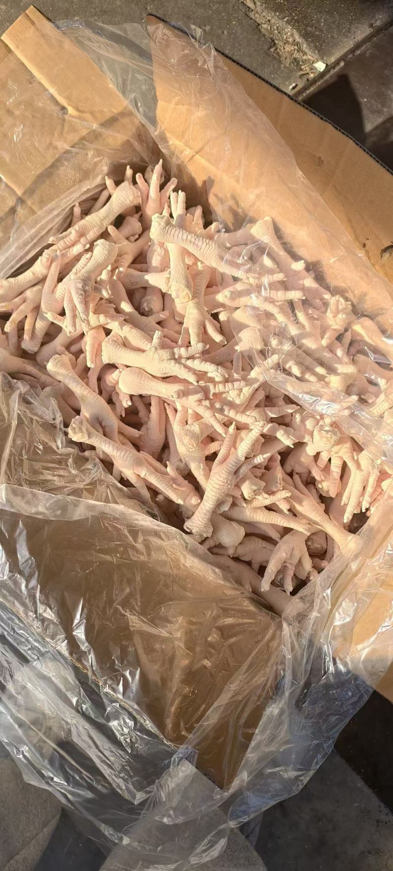 长鸡脚鸡爪子屠宰检疫
