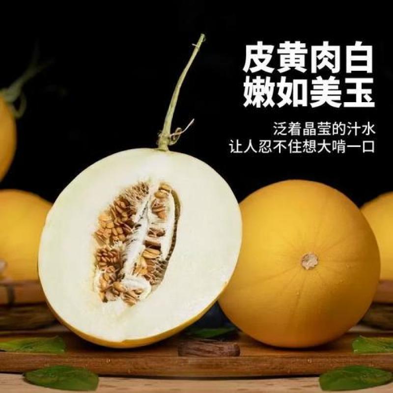 海南蜜瓜金香玉蜜瓜对接电商市场商超全国发货