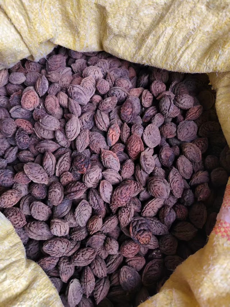 毛桃核.桃枭，药材，药食两用可做手串欢迎全国朋友来电咨询