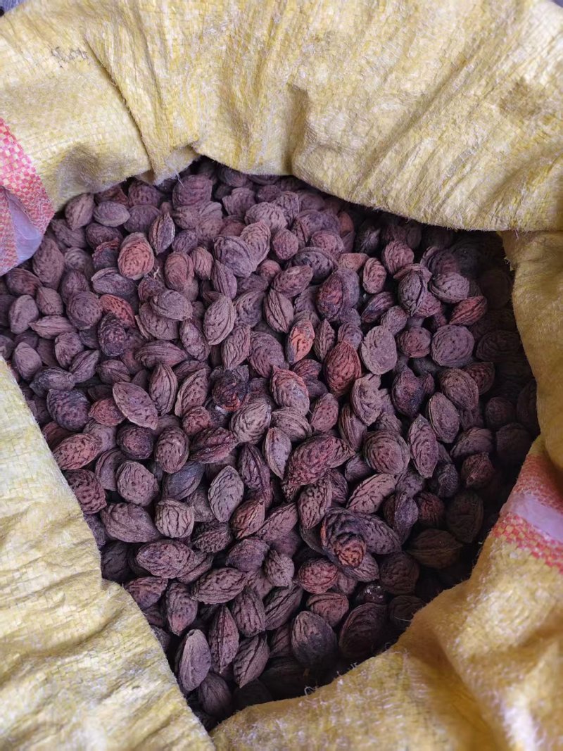 毛桃核.桃枭，药材，药食两用可做手串欢迎全国朋友来电咨询