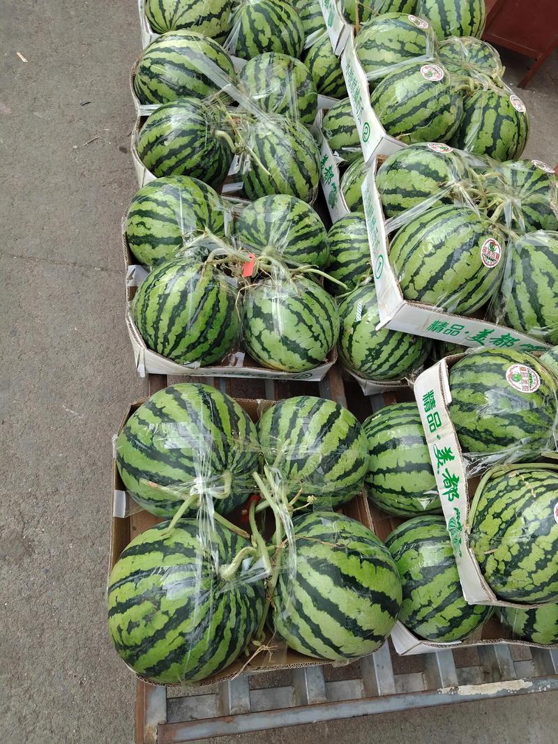 云南美都西瓜基地直发全国供货保质保量包熟包甜