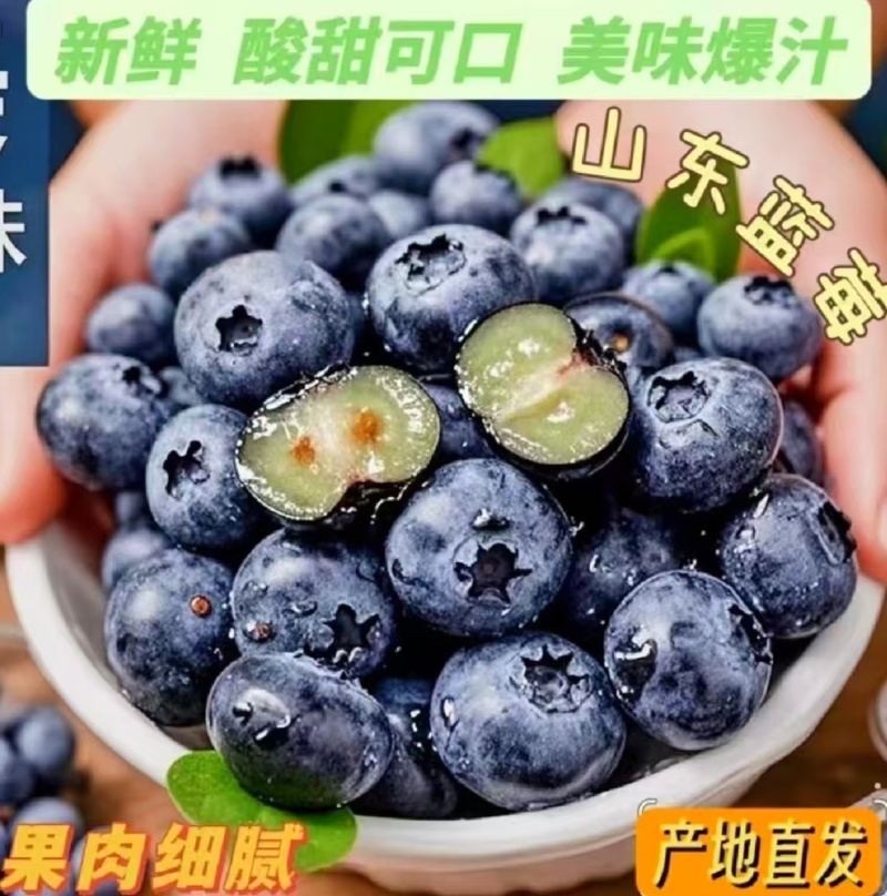 蓝莓花香L25优瑞卡L11F6品种齐全品质保证