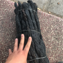肉苁蓉【精品】内蒙古肉苁蓉