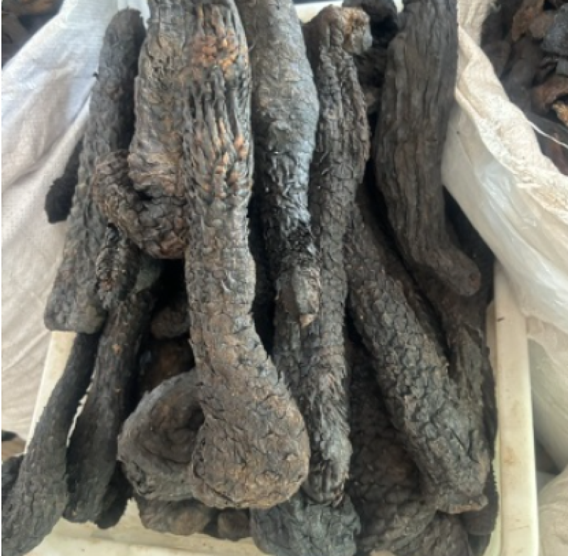 肉苁蓉【精品】内蒙古肉苁蓉
