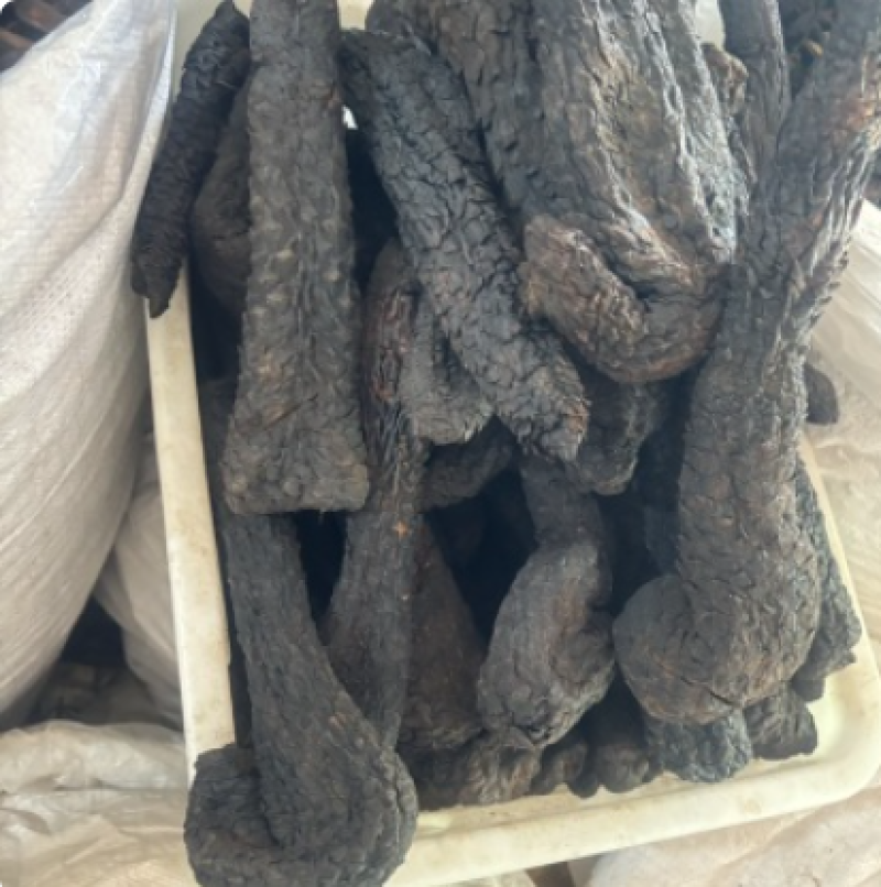 肉苁蓉【精品】内蒙古肉苁蓉