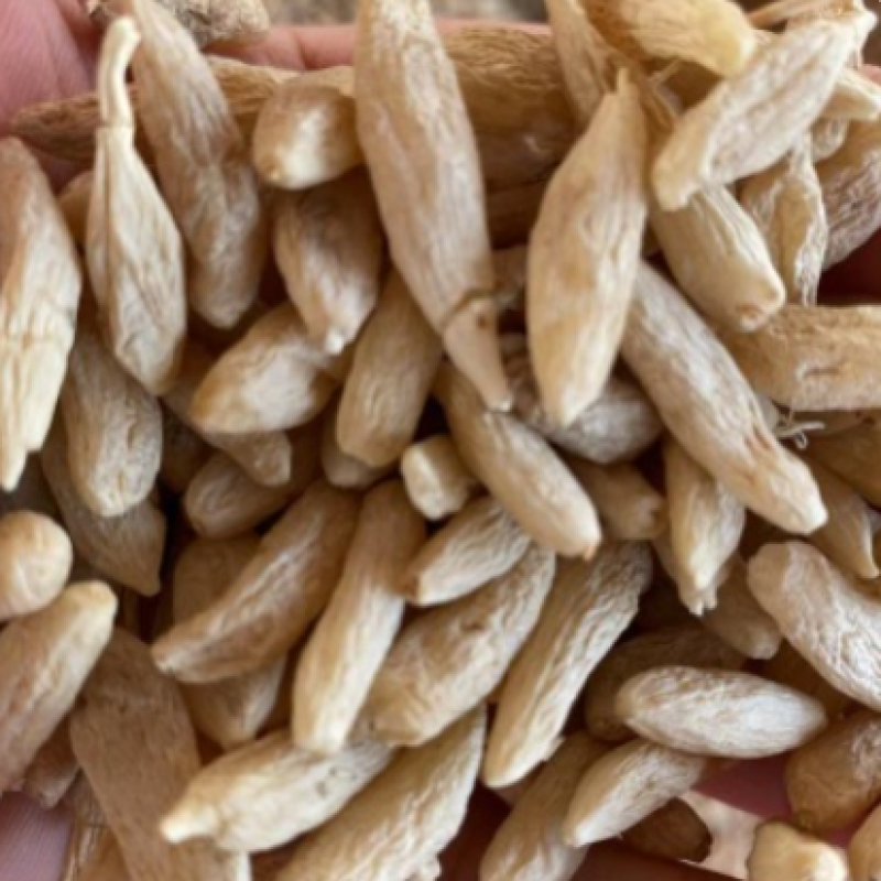 麦冬大量供应保质保量对接全国客商可视频对接欢迎