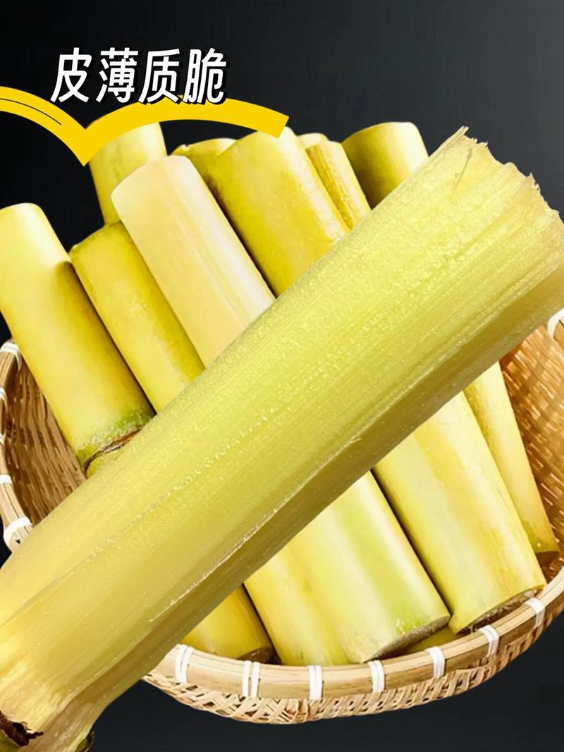云南精品黄金甘蔗大量上市/产地直发/诚信经营/量大从优