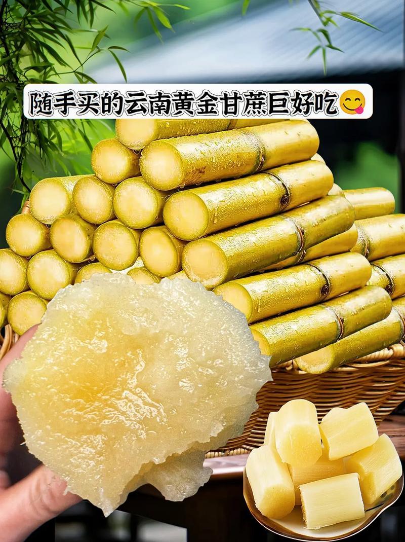云南黄皮甘蔗大量上市/产地直发/诚信经营/量大从优