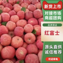苹果山东红富士苹果口感脆甜产地供应全国发货品质保