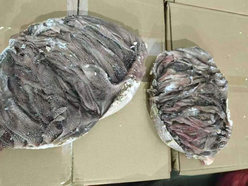 【热卖】牛百叶牛肚厂家直销量大质优价格优惠欢迎采购