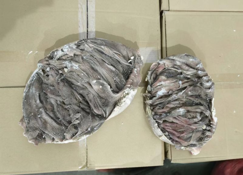 牛毛肚厂家直销一手货源保质保量欢迎各大老板采购咨询