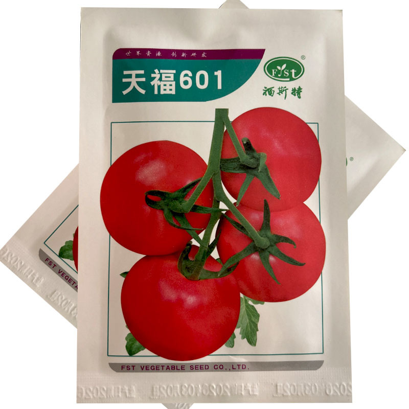 天福601番茄种子硬果粉红早熟肉厚1000粒西红柿种基地