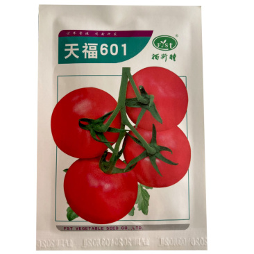 天福601番茄种子硬果粉红早熟肉厚1000粒西红柿种基地