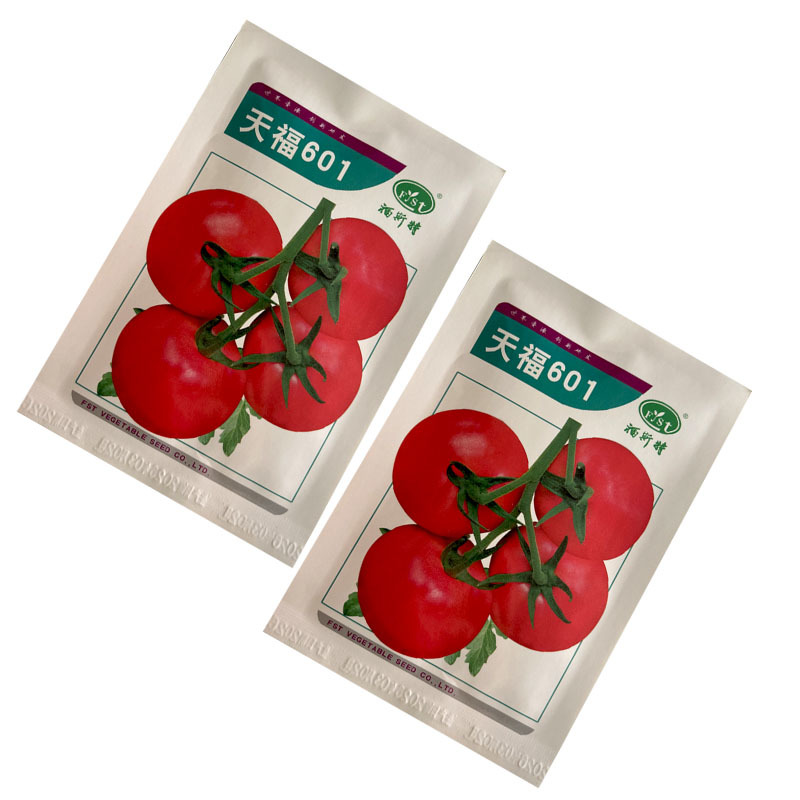 天福601番茄种子硬果粉红早熟肉厚1000粒西红柿种基地