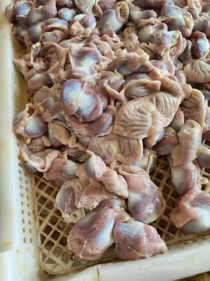 屠宰场直供鲜鸡胗，肉质紧实，卤炒爆脆爽！
