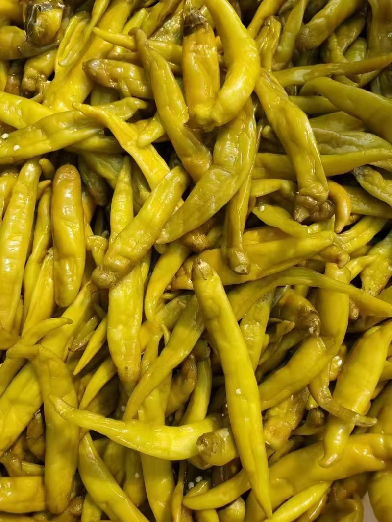 鲜辣椒泡杭椒青辣椒/保质保量/量大从优/诚信经营