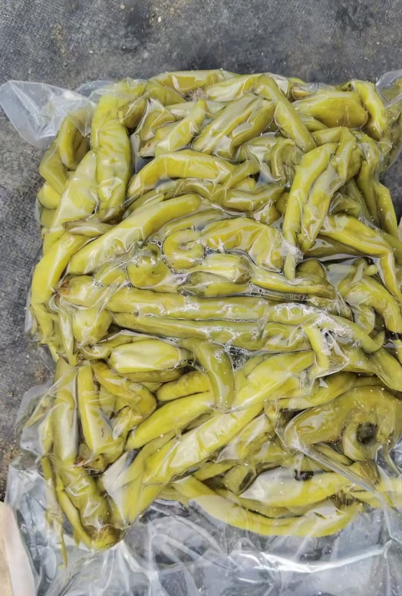 鲜辣椒泡杭椒青辣椒/保质保量/量大从优/诚信经营
