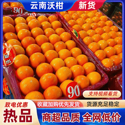 沃柑产地火爆销售中，口感纯甜颜色全红，电商平台市场对接