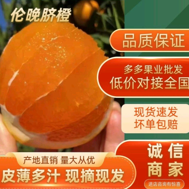 《热卖》伦晚中华红血橙夏橙对接电商社团商超市场
