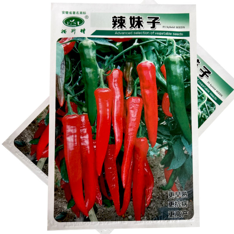 辣妹子种子早熟皮薄辣香味浓结果多1000粒青红干辣椒
