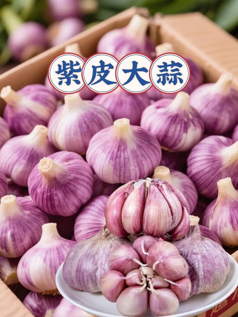 云南紫皮大蒜大量上质量保证产地直发/量大从优