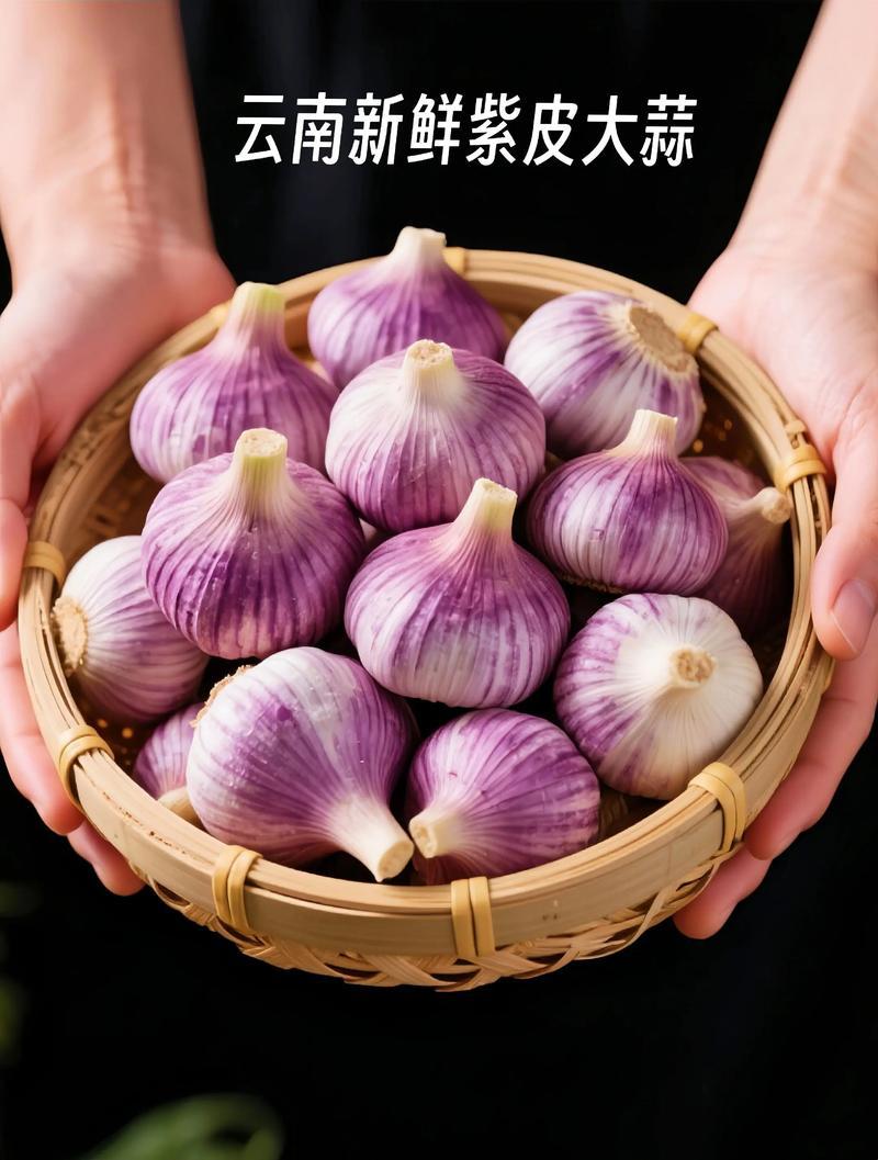 云南紫皮大蒜大量上质量保证产地直发/量大从优
