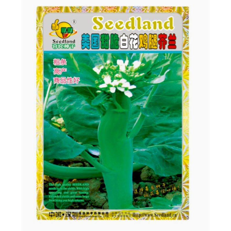 美国甜脆白花鸡腿芥蓝种子500g早熟耐寒耐热基地型