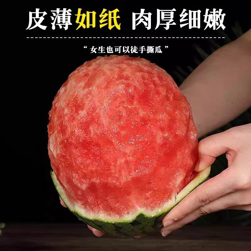 精品小糖丸西瓜现摘现发对接市场商超社区团购皮薄脆甜